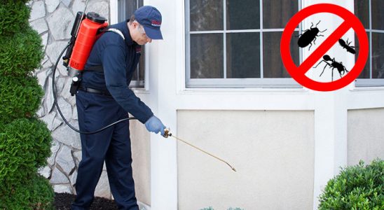 Keban Hamam Böceği İlaçlama böcek ilaçlama ve haşere kontrolü — ilaclama-tr.com